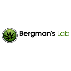 Bergman's Lab